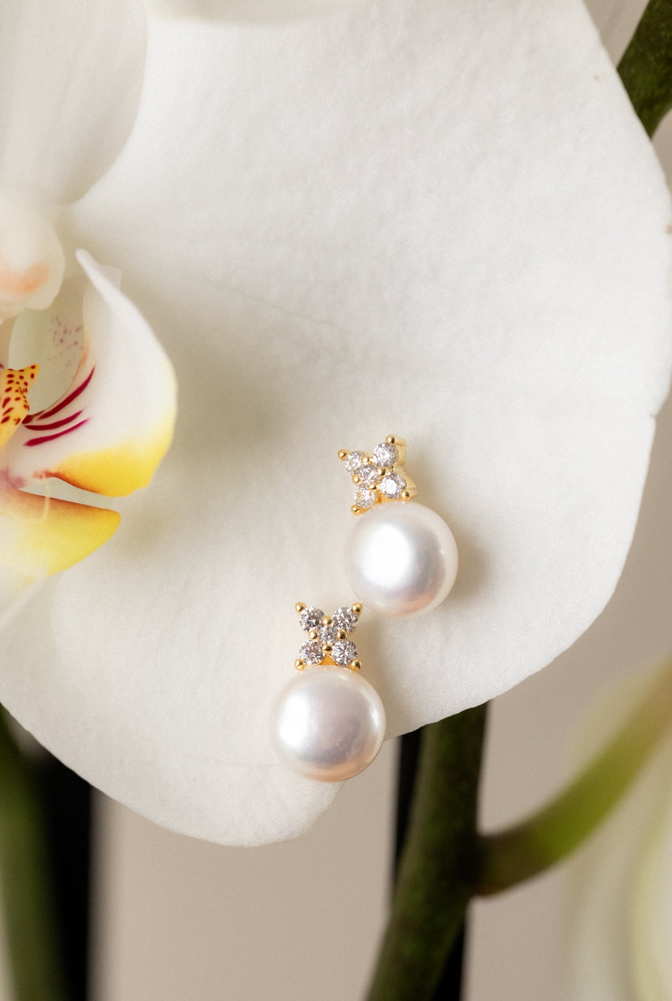 Boucles d'oreilles Déborah