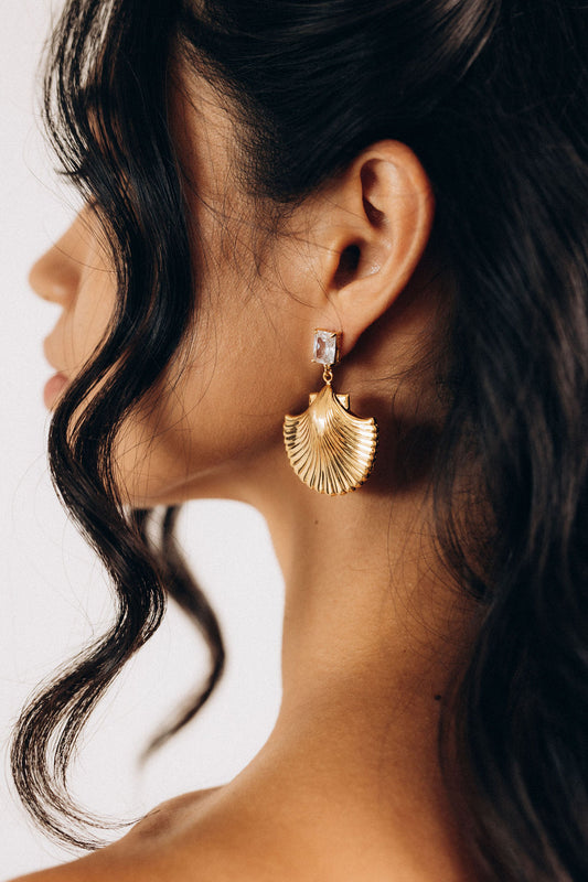 Shell Earrings