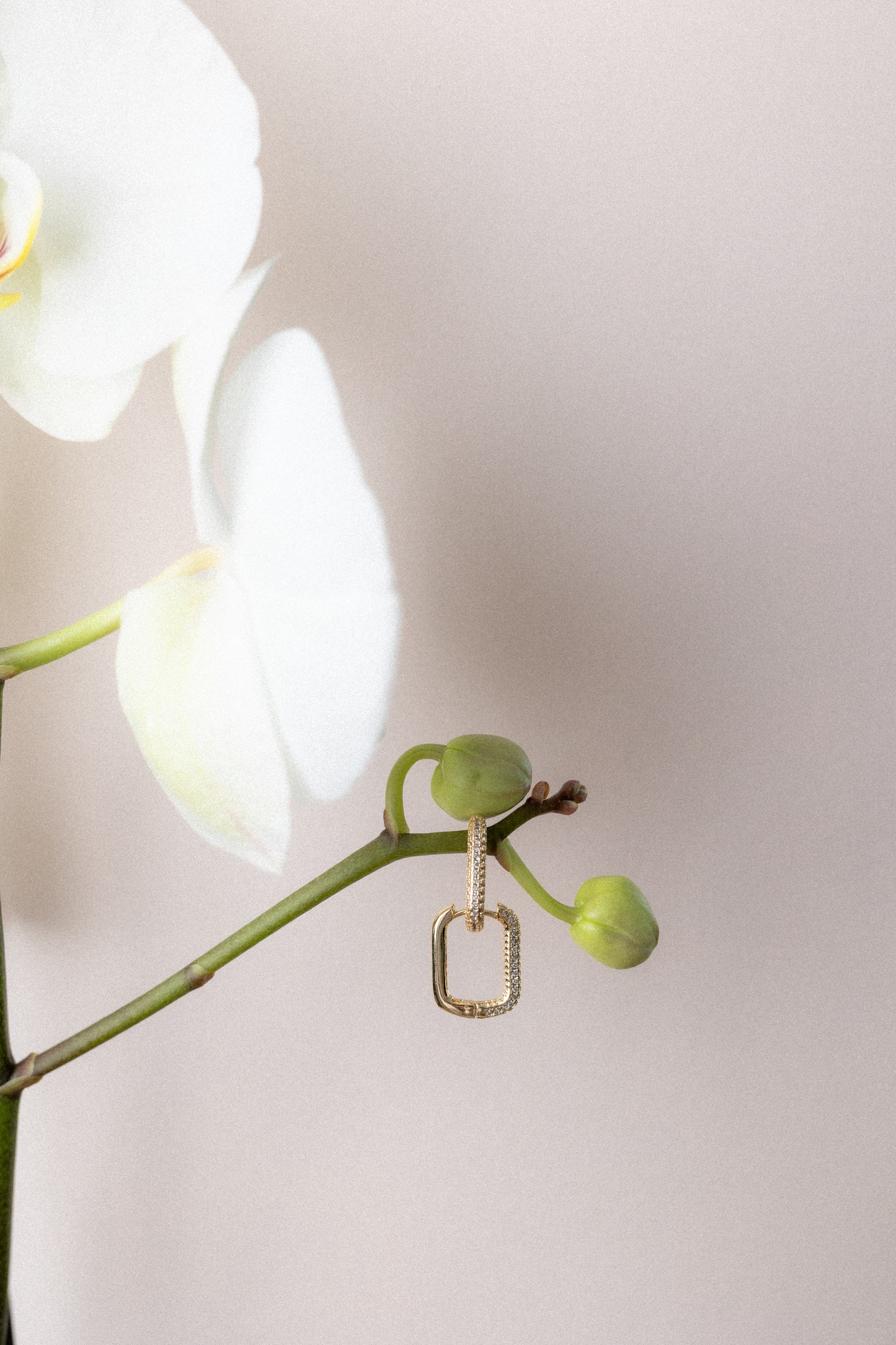 Boucles d'oreilles Salomé