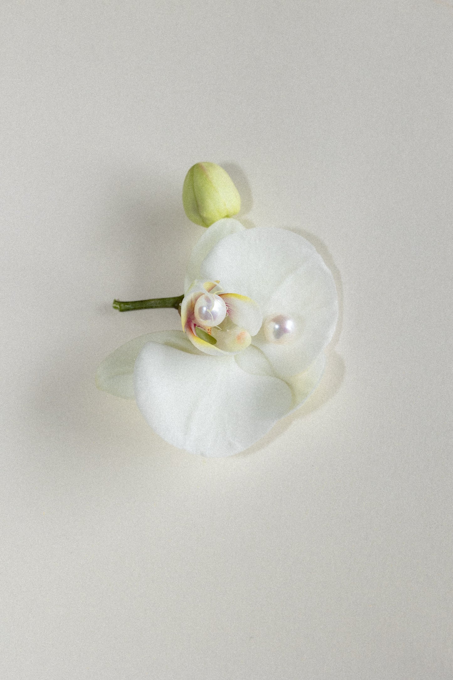 Bouton Earrings